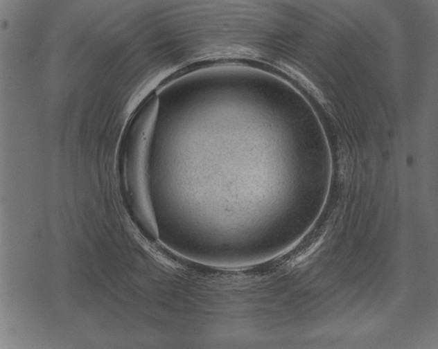 X0000073890885200608180931