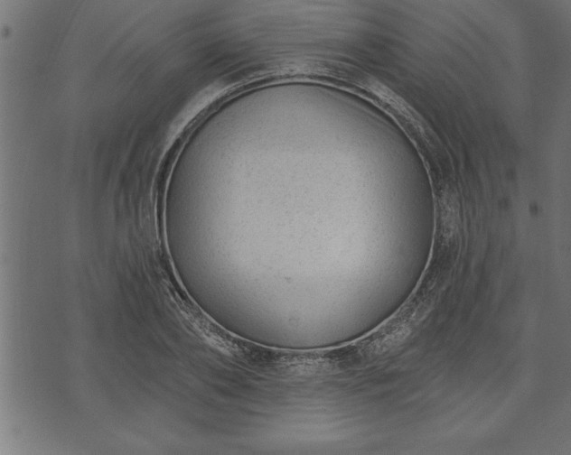 X0000073890886200608180931