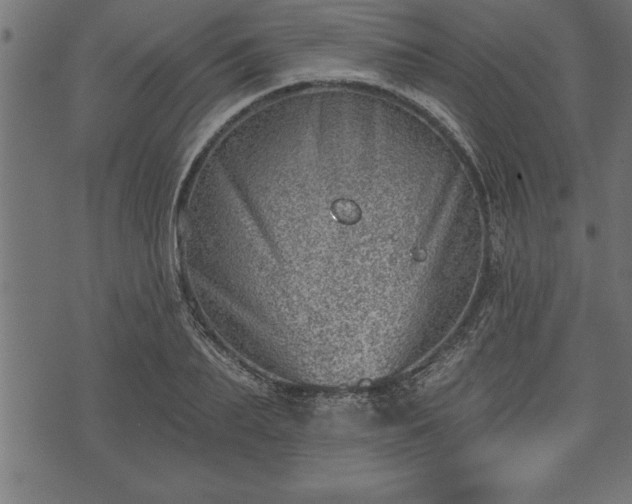 X0000073890887200608180931