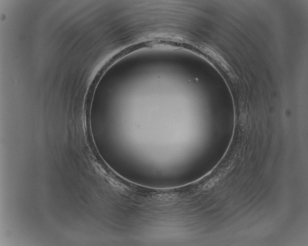 X0000073890888200608180931