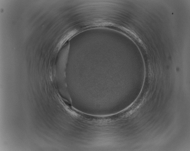 X0000073890889200608180931