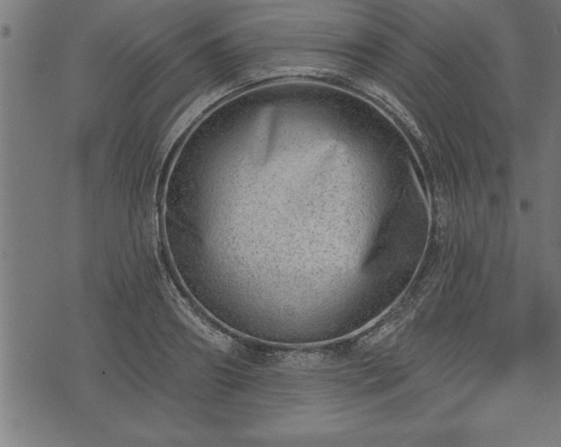 X0000073890890200608180931