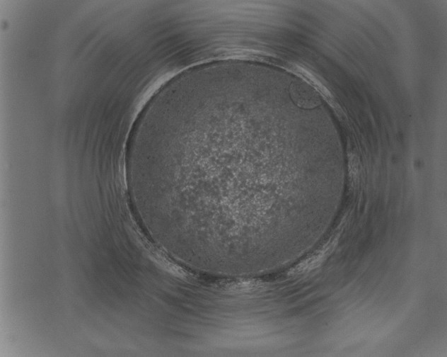 X0000073890891200608180931