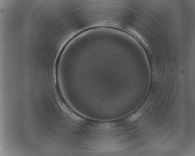 X0000073890892200608180931