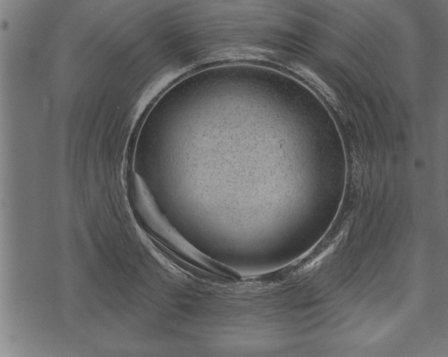 X0000073890893200608180931