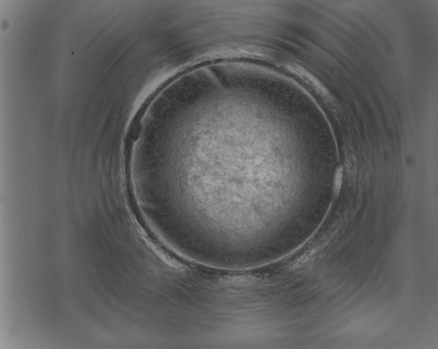 X0000073890894200608180931