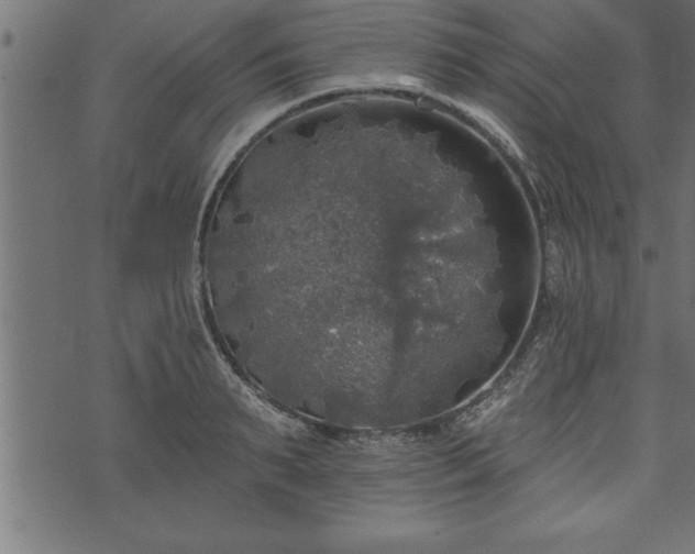 X0000073890895200608180931