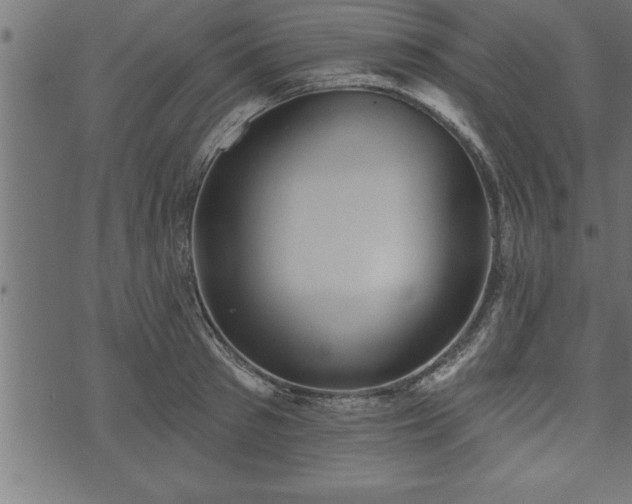 X0000073890897200608180931