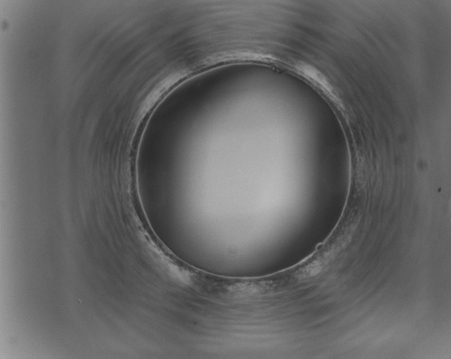 X0000073890898200608180930