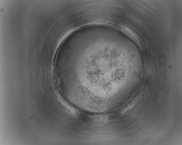 X0000073890900200608180930