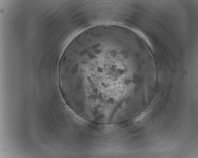 X0000073890903200608180930