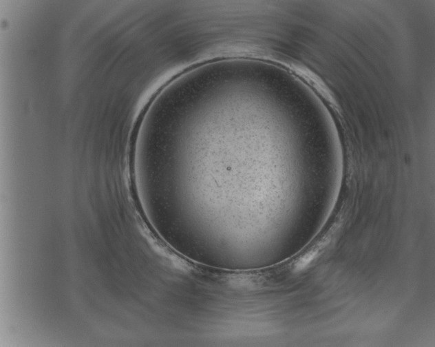 X0000073890904200608180930