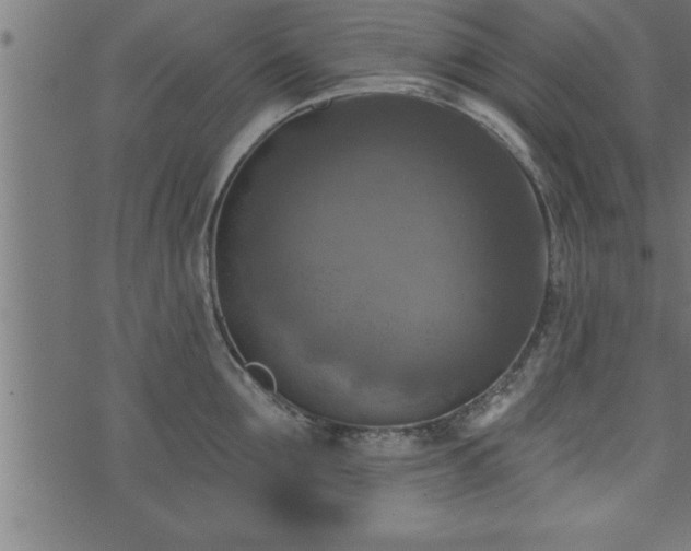 X0000073890907200608180930