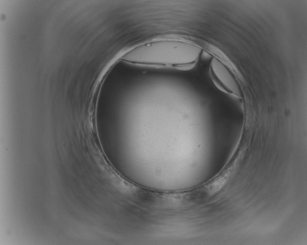 X0000073890908200608180930