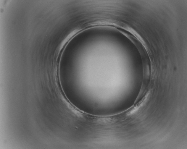 X0000073890909200608180930