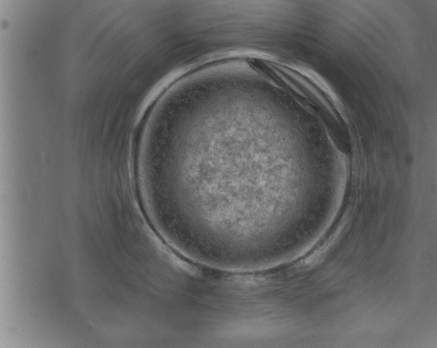 X0000073890910200608180930