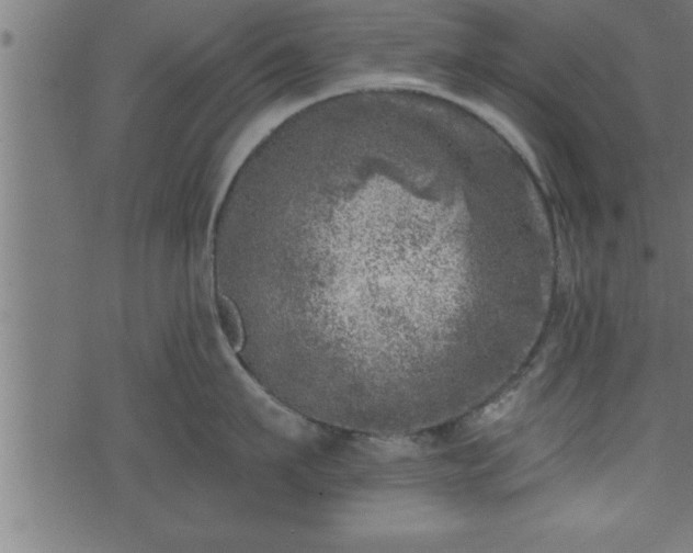 X0000073890911200608180930