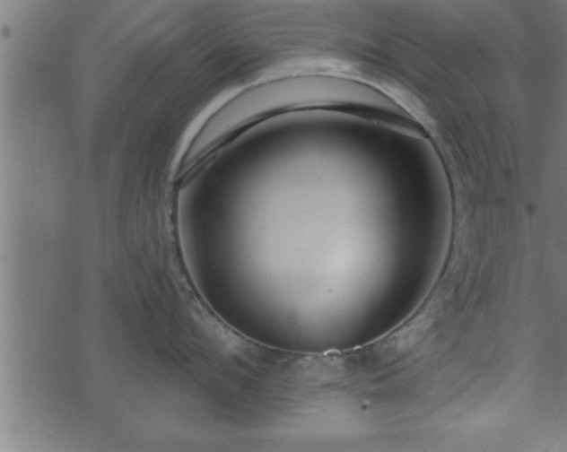 X0000073890912200608180930