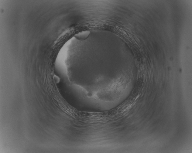 X0000073890913200608180929