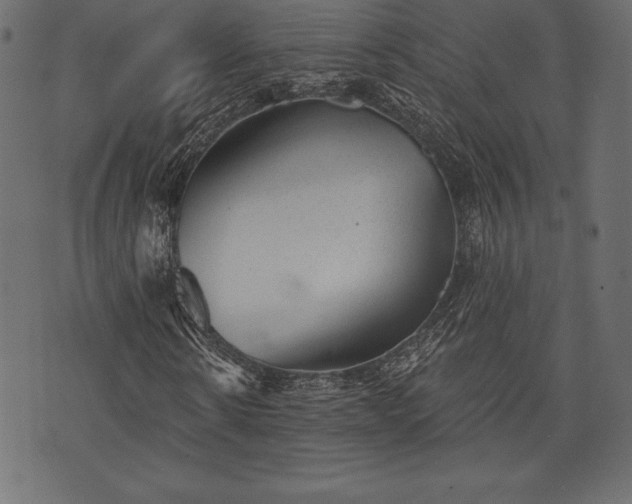 X0000073890914200608180929