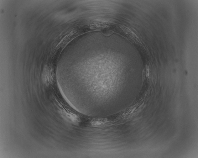 X0000073890915200608180930