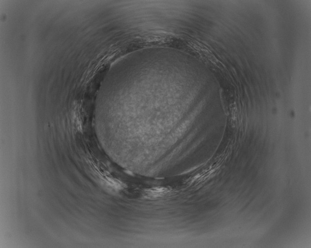 X0000073890916200608180930