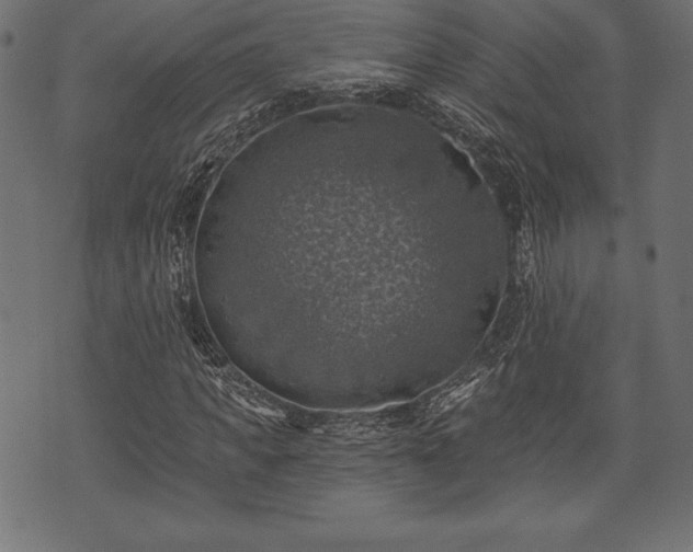 X0000073890917200608180930