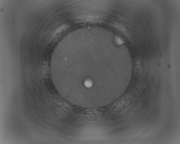 X0000073890918200608180930