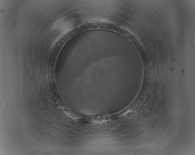 X0000073890919200608180930