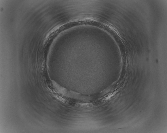 X0000073890920200608180930