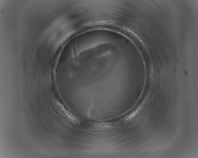 X0000073890921200608180930