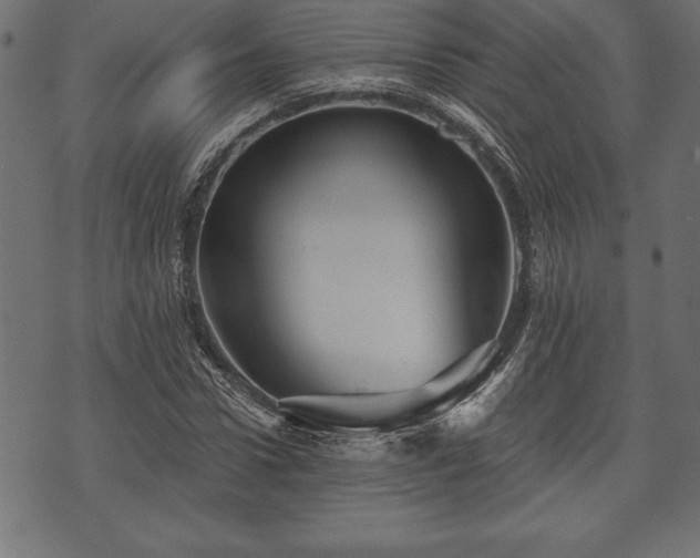 X0000073890922200608180930