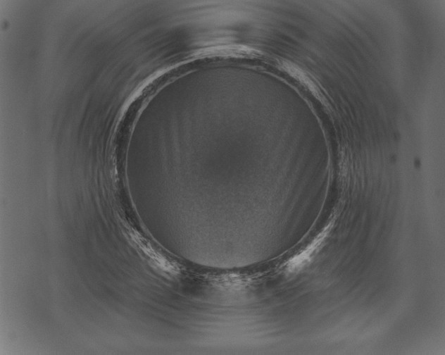 X0000073890923200608180930