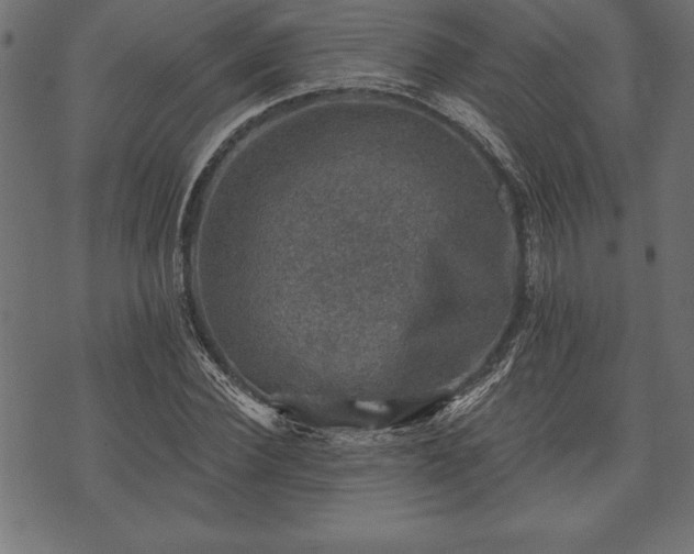 X0000073890924200608180930