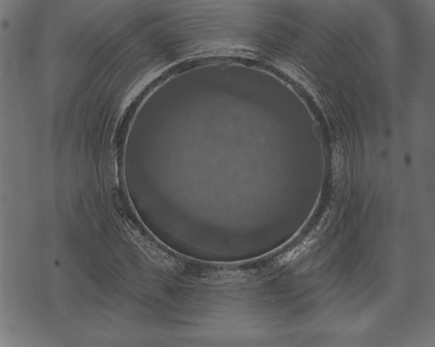 X0000073890925200608180930