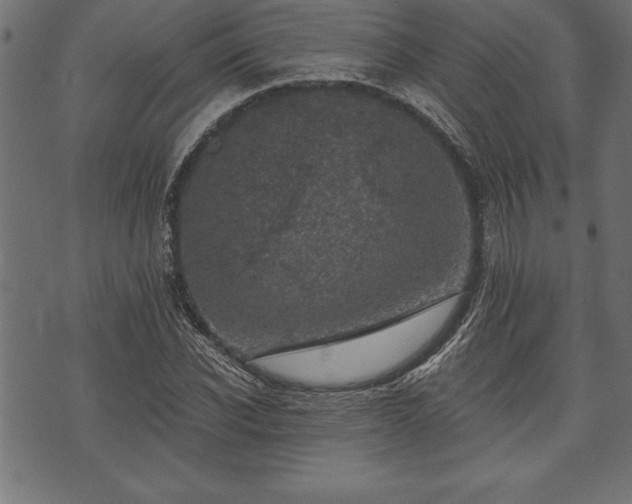 X0000073890926200608180930