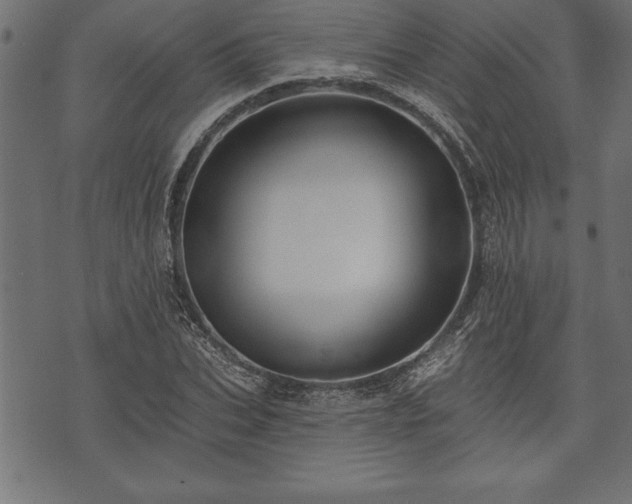 X0000073890927200608180930