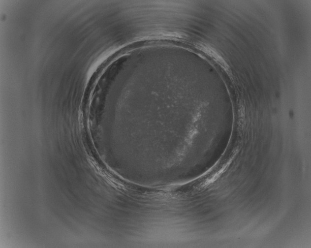 X0000073890928200608180930