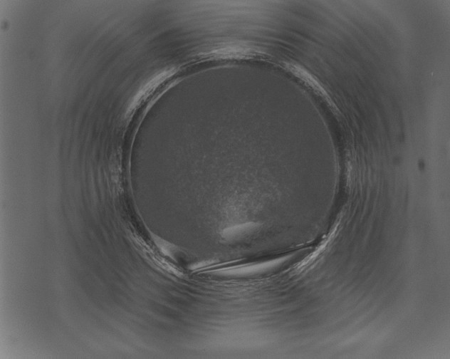 X0000073890930200608180930