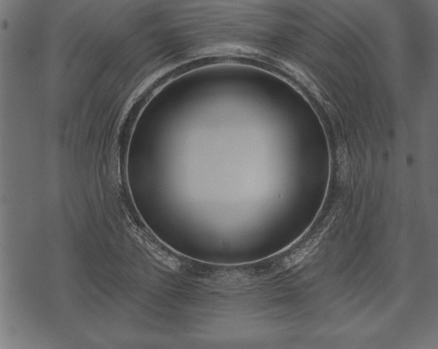 X0000073890931200608180930