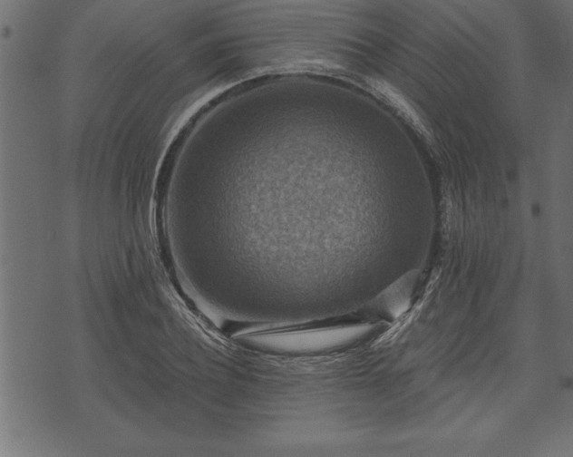 X0000073890932200608180930