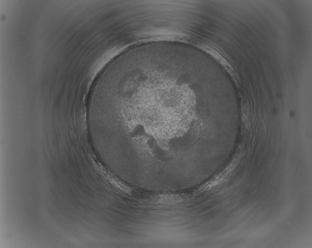 X0000073890933200608180930