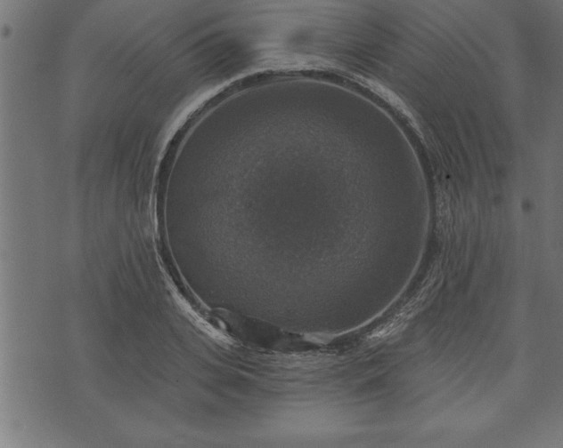 X0000073890935200608180930