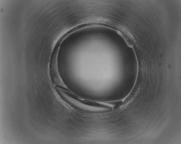 X0000073890936200608180930