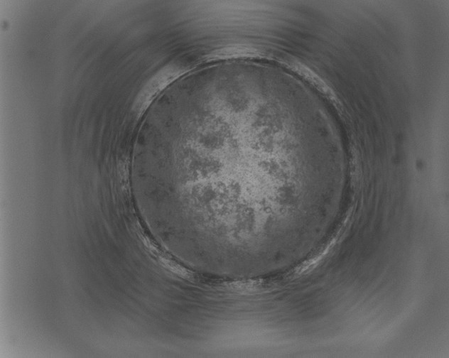 X0000073890937200608180930