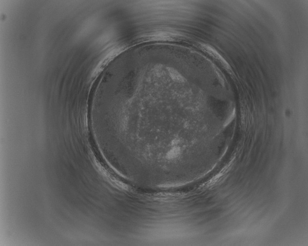 X0000073890938200608180930