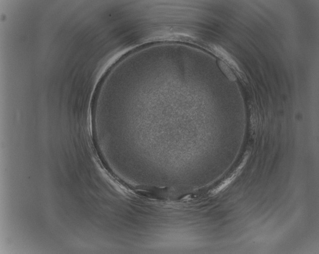 X0000073890940200608180930