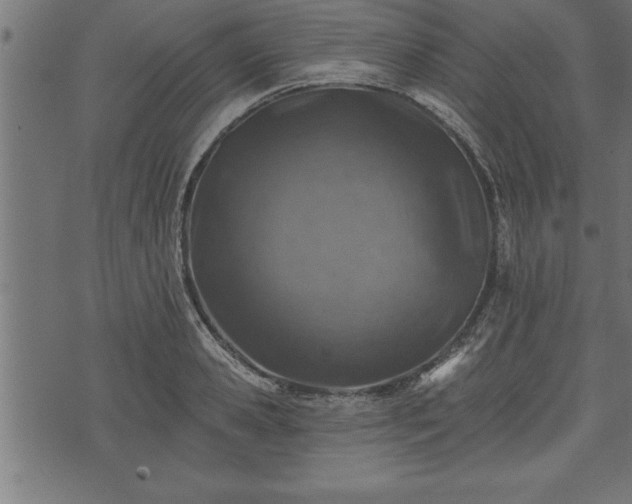 X0000073890941200608180930