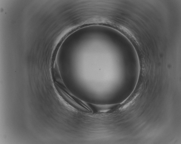 X0000073890942200608180930