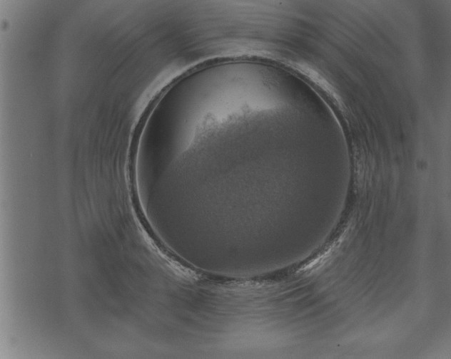 X0000073890943200608180930